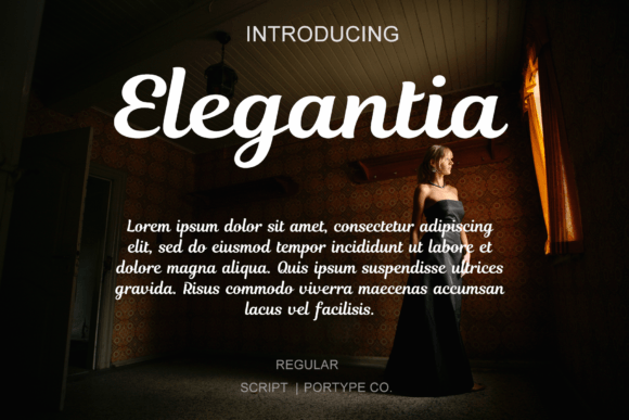 Elegantia: The Script Handwritten Font for Sophisticated Craft Brands